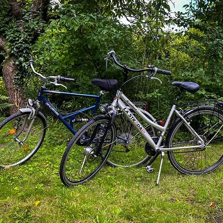 Hitzacker/elbe Apartment